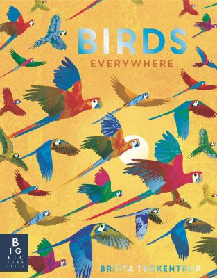 Birds everywhere cover image