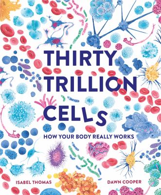 Thirty trillion cells : how your body really works cover image