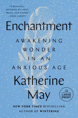 Enchantment awakening wonder in an anxious age cover image