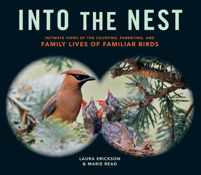 Into the Nest Intimate Views of the Courting, Parenting, and Family Lives of Familiar Birds cover image