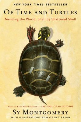 Of time and turtles : mending the world, shell by shattered shell cover image