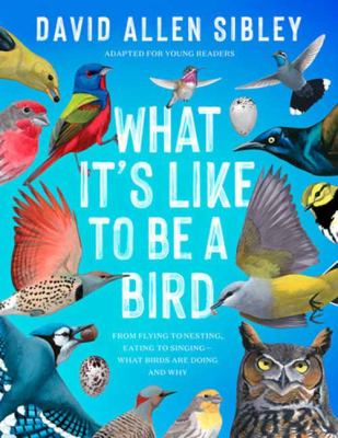 What it's like to be a bird, adapted for young readers : from flying to nesting, eating to singing-what birds are doing and why cover image