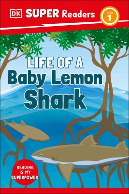 Life of a baby lemon shark cover image