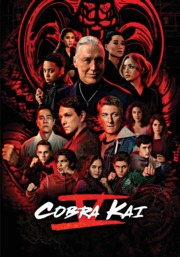 Cobra kai. Season 5 cover image