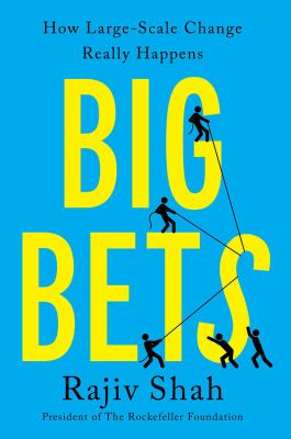 Big bets : how large-scale change really happens cover image