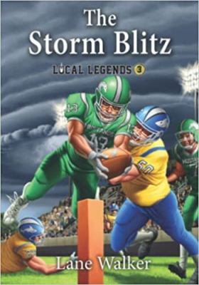 The storm blitz cover image
