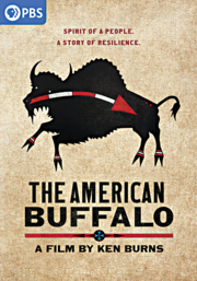 The American buffalo cover image