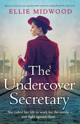 The undercover secretary cover image
