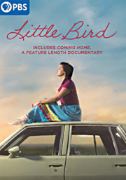 Little Bird cover image