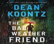 The bad weather friend cover image