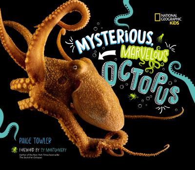 Mysterious, marvelous octopus cover image