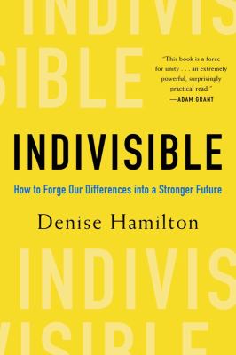 Indivisible : how to forge our differences into a stronger future cover image