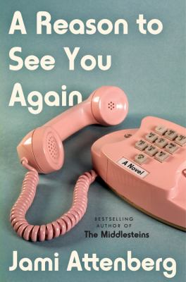 A reason to see you again : a novel cover image