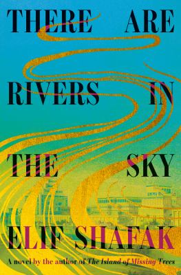 There are rivers in the sky cover image