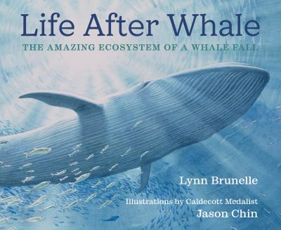 Life After Whale : The Amazing Ecosystem of a Whale Fall cover image