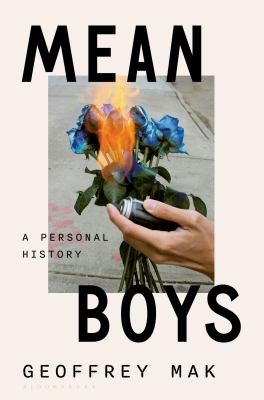 Mean Boys : A Personal History cover image
