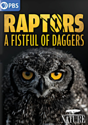 Nature: Raptor - A Fistful of Daggers cover image