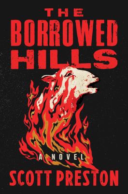 The borrowed hills : a novel cover image