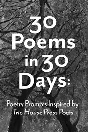 30 poems in 30 days cover image