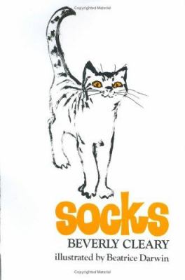 Socks cover image