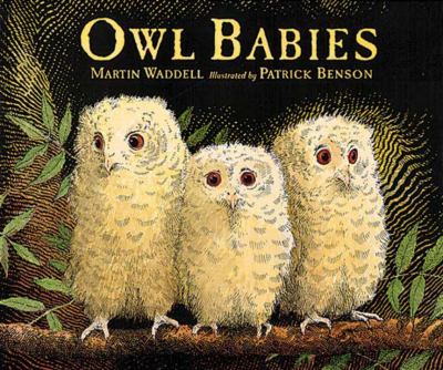 Owl babies cover image