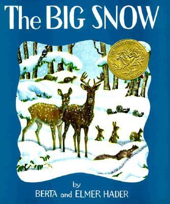 The big snow cover image