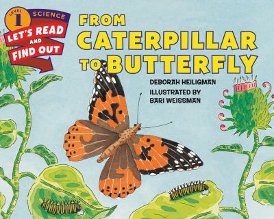 From caterpillar to butterfly  cover image cdn
