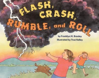 Flash, crash, rumble, and roll cover image