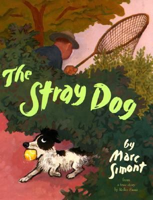 The stray dog : from a true story by Reiko Sassa cover image