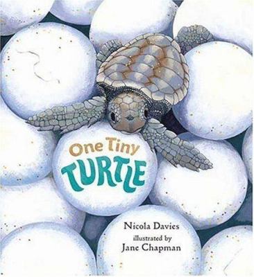 One tiny turtle cover image