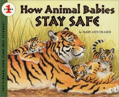 How animal babies stay safe cover image