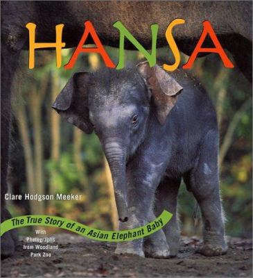 Hansa, the true story of an Asian elephant baby cover image