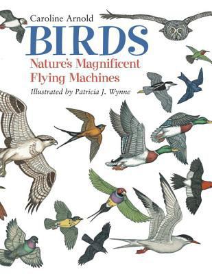 Birds : nature's magnificent flying machines cover image