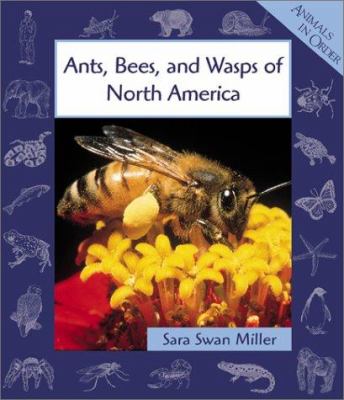 Ants, bees, and wasps of North America cover image