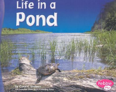 Life in a pond cover image