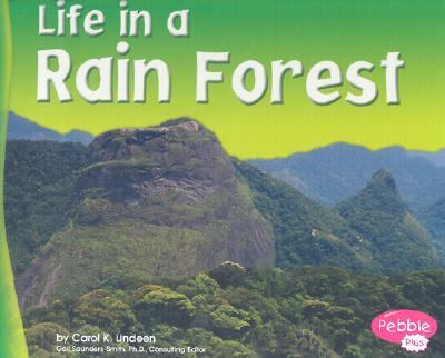 Life in a rain forest cover image