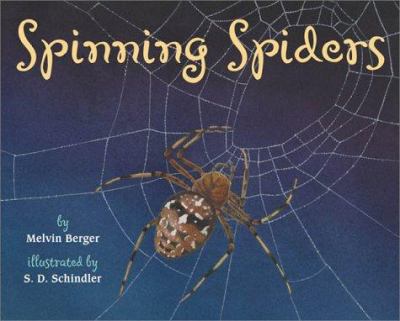 Spinning spiders cover image