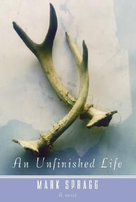 An unfinished life cover image