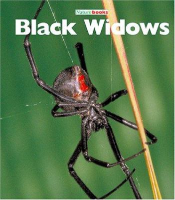 Black widows cover image