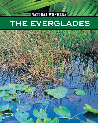 The Everglades : the largest marsh in the United States  cover image cdn
