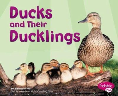 Ducks and their ducklings  cover image cdn