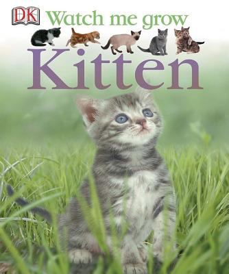 Kitten cover image