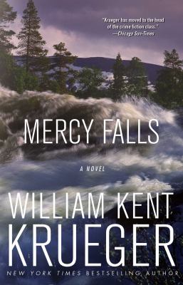 Mercy Falls cover image
