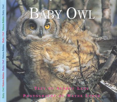 Baby owl cover image