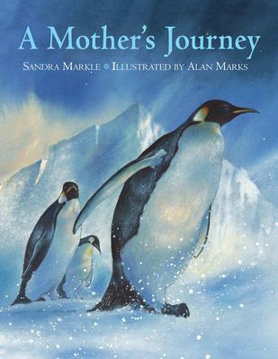 A mother's journey cover image