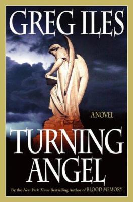 Turning angel cover image
