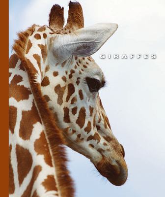 Giraffes cover image