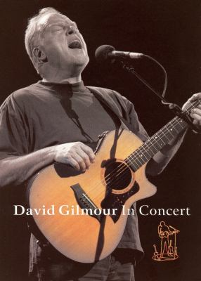 David Gilmour in concert cover image