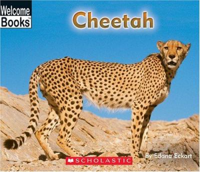 Cheetah cover image