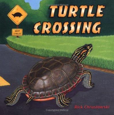 Turtle crossing cover image